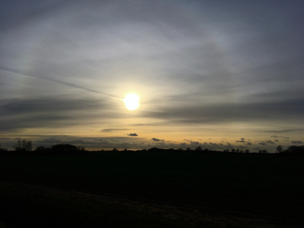 A silver winter sunset over a dark field with a glowing ring around the sun.